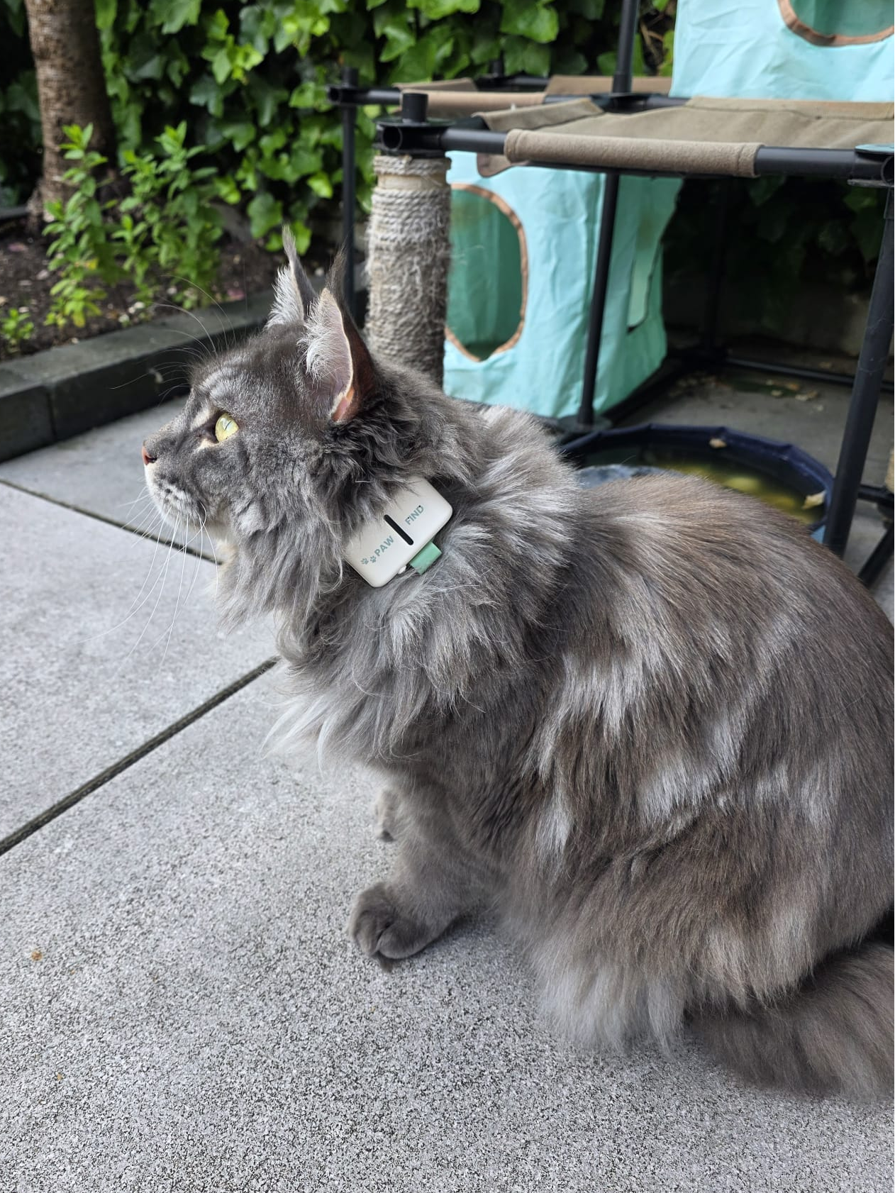 GPS Tracker Kat - PawFind Mini - 30 Dgn Retour