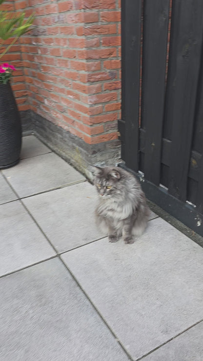 PawFind Mini - GPS tracker voor Katten